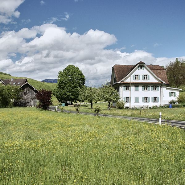 Sanierung Bauernhaus, Wilgasssitz